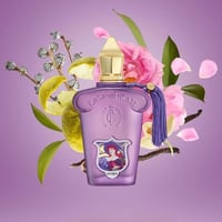 عطر لاتوسكا من زيرجوف كاسا موراتي 100 مل (تستر )