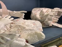 طقم فُستان اطفال