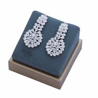 حلق زركون فضي من ماركة فايلت