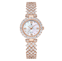 ساعة زركون نسائية روز قولد من ماركة فايلت