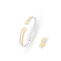 اسواره زركون مكس من فايلت