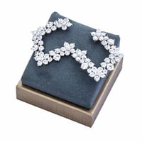 حلق زركون فضي من ماركة فايلت