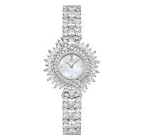 ساعة زركون فضي ماركة فايلت