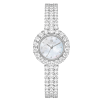 ساعة زركون فضي ماركة فايلت