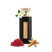 بديل ريف 11/ REEF 11