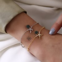 اسوارة سيفين ونخلة