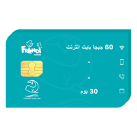 شريحة انترنت فرندي 60 جيجا لمدة 30 يوم