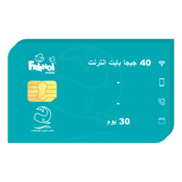 شريحة انترنت فرندي 40 جيجا لمدة 30 يوم