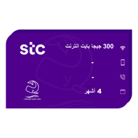 إعادة شحن باقة كويك نت 300 جيجا بايت - 4 أشهر