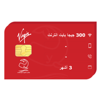 شريحة انترنت فيرجن 300 جيجا بايت لمدة 3 أشهر