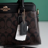 شنطة كوتش دارسي كارييل CO180