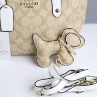 شنطة كوتش سحاب صغير CO11