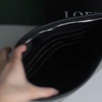 باوتش لويفي LE