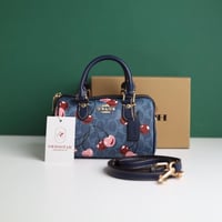 شنطة كوتش روان CO111