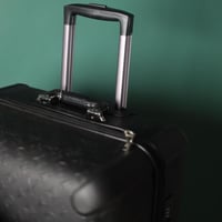 شنطة سفر لويس فيتون LF190