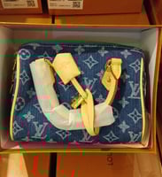 شنطة لويس فيتون سبيدي 25 LF160