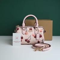 شنطة كوتش روان CO111