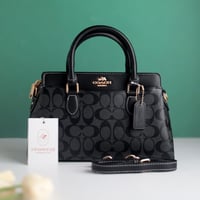 شنطة كوتش دارسي كارييل CO180