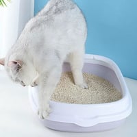 ليتر بوكس للقطط الصغيرة مع مجرفة (عدة الوان)(37*30...