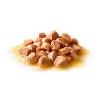 رويال كانين KITTEN طعام رطب للقطط الصغيرة 85 جرام