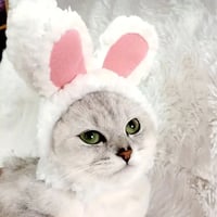 قبعة للقطط والكلاب، للمناسبات والاعياد