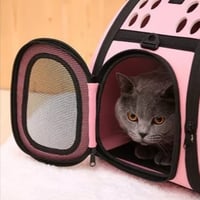 شنطة نقل - بت شو