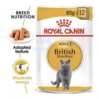 رويال كانين British Shorthair طعام رطب بريتش شورت...