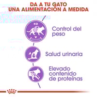 رويال كانين STERILISED طعام جاف للقطط المعقمة 10 ك...