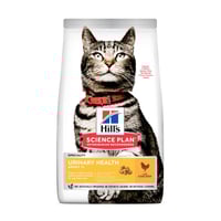 Hill's طعام جاف للقطط التي تعاني من مشاكل الجهاز ا...
