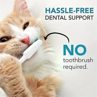 مسحوق أسنان يزيل الترسبات ورائحة الفم الكريهة ويبي...