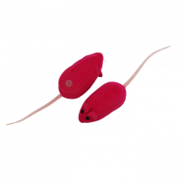 لعبة الفأر 4 قطع ملونة