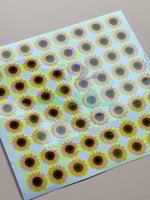 استكر DTF اسطح دوار الشمس