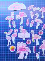 30 استكر فلامنجو