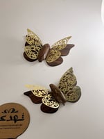 توزيعات الفراشة الذهبية