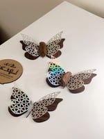 توزيعات الفراشة الفضية