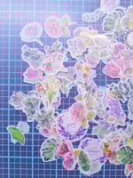 60 استكرات الاعشاب الخضراء