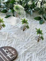 درزن استاند ميني نخيل