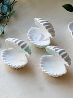 درزن جبس صدف ميني