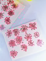 كرت ورد طبيعي مجفف احمر