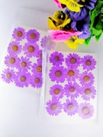 كرت ورد مجفف طبيعي موف