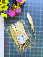 10 ريش ذهبي صغير