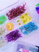 بوكس الورد المجفف