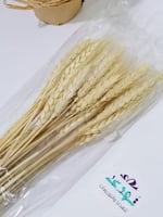 غصن سنبل قمح صناعي بيج