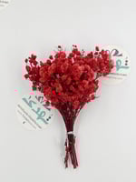 باقة ورد طبيعي مجفف ميني