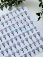 استكر DTF اسطح لافندر