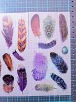 استكرات الريش