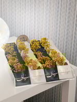 توزيعات جلد بطباعه حرارية