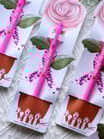 5 توزيعة قلم أنت حياة