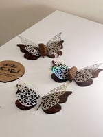 توزيعات الفراشة الفضية