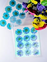 كرت ورد طبيعي مجفف سماوي